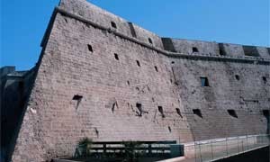 11_mola