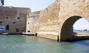 19_alfonsino_brindisi