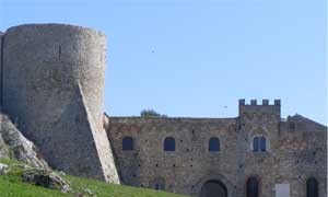 3_bovino